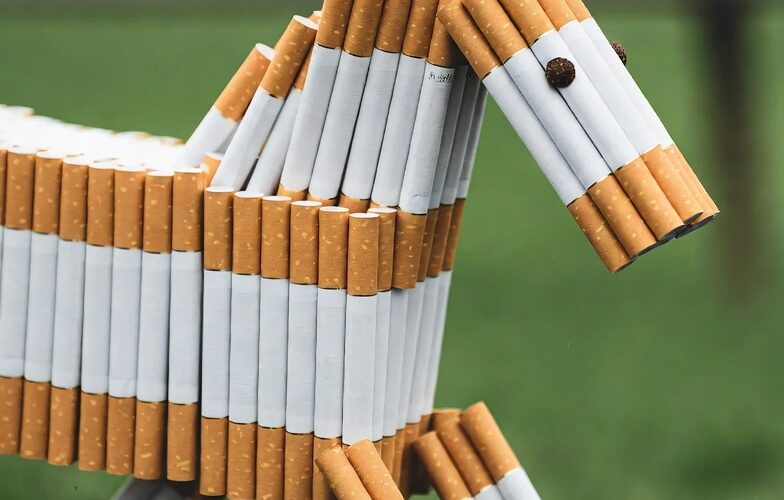 【今日の穴馬など01/24（土）馬券ラボ予想】